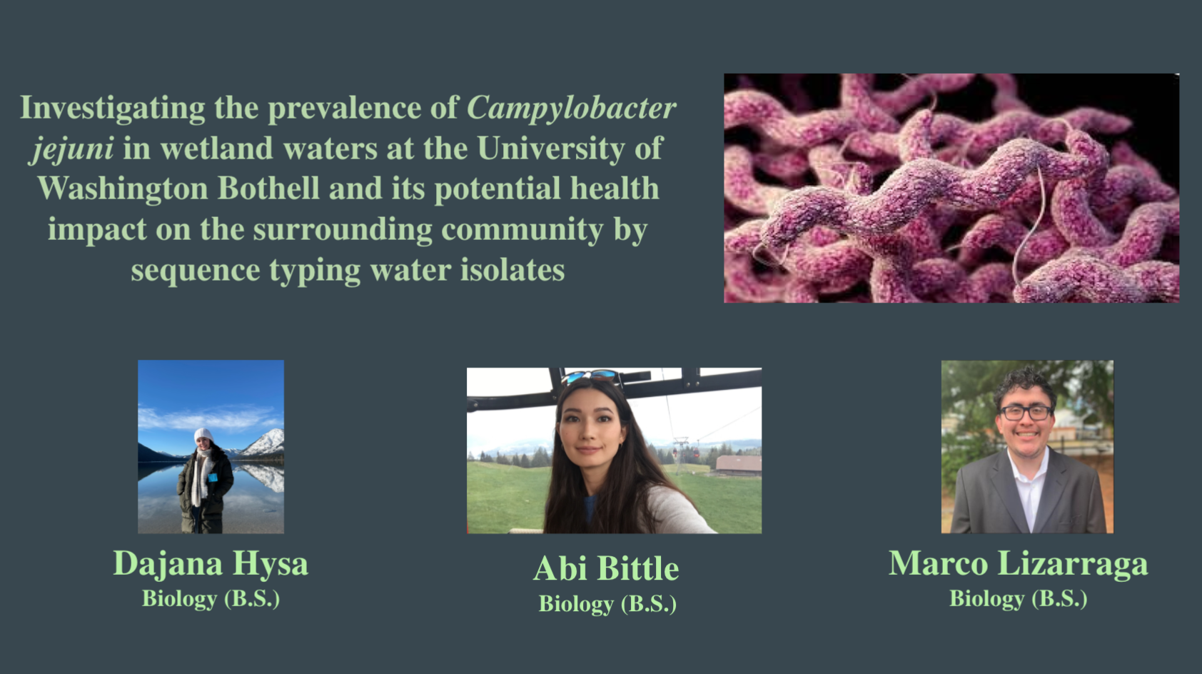 Investigating the Prevalence of Campylobacter Jejuni in Wetland Water at the University of Washington Bothell and its Potential Health Impact on the surrounding community by sequence typing water isolates Poster